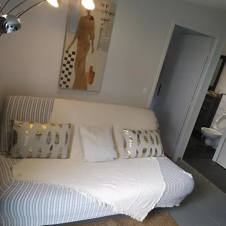 別荘 Maisonnette Climatisee Avec Piscine 6mn *